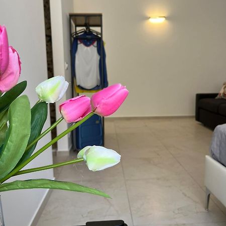 Sicilian Paradise Casa Vacanze Castellammare del Golfo Room photo