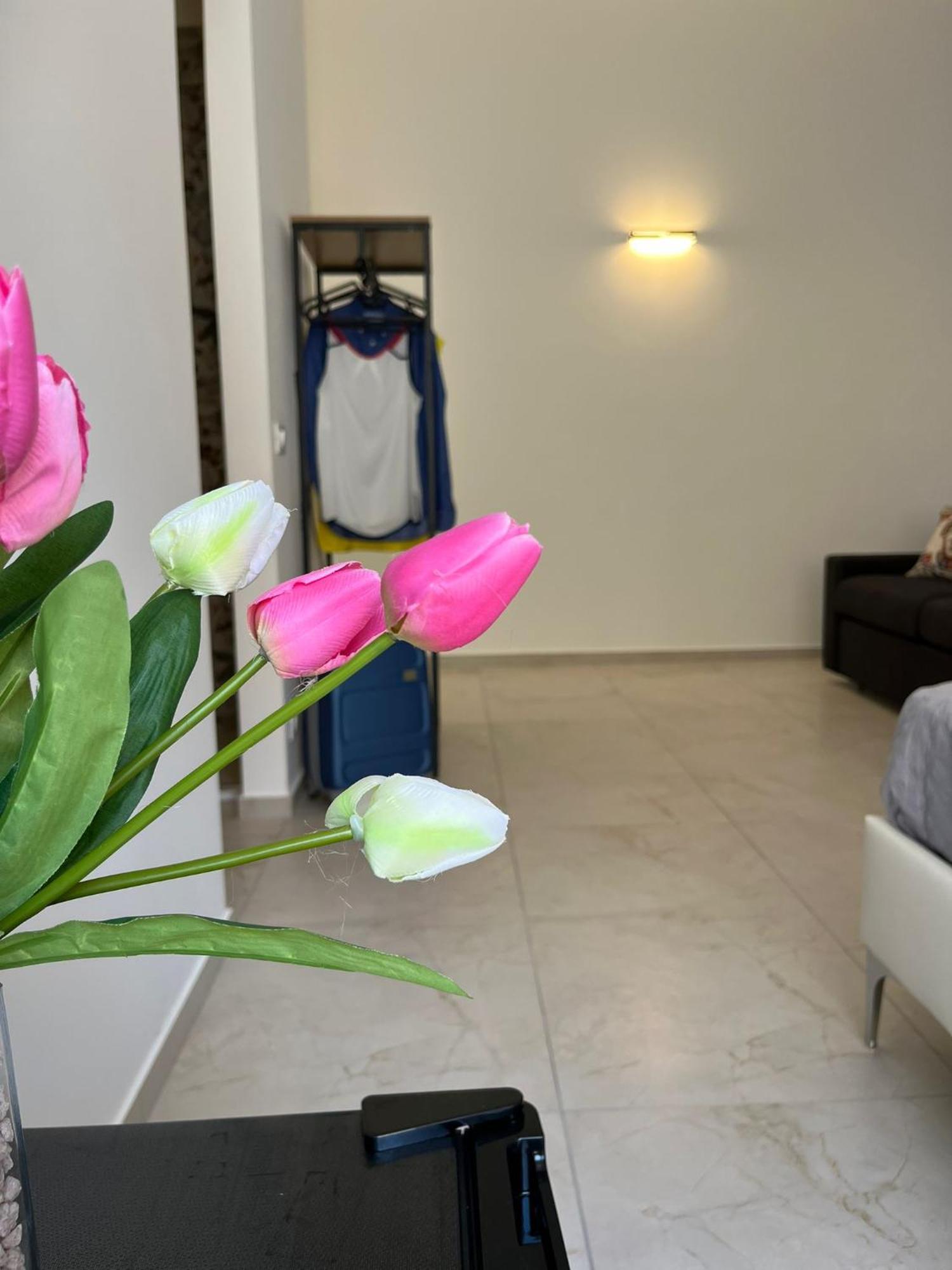 Sicilian Paradise Casa Vacanze Castellammare del Golfo Room photo